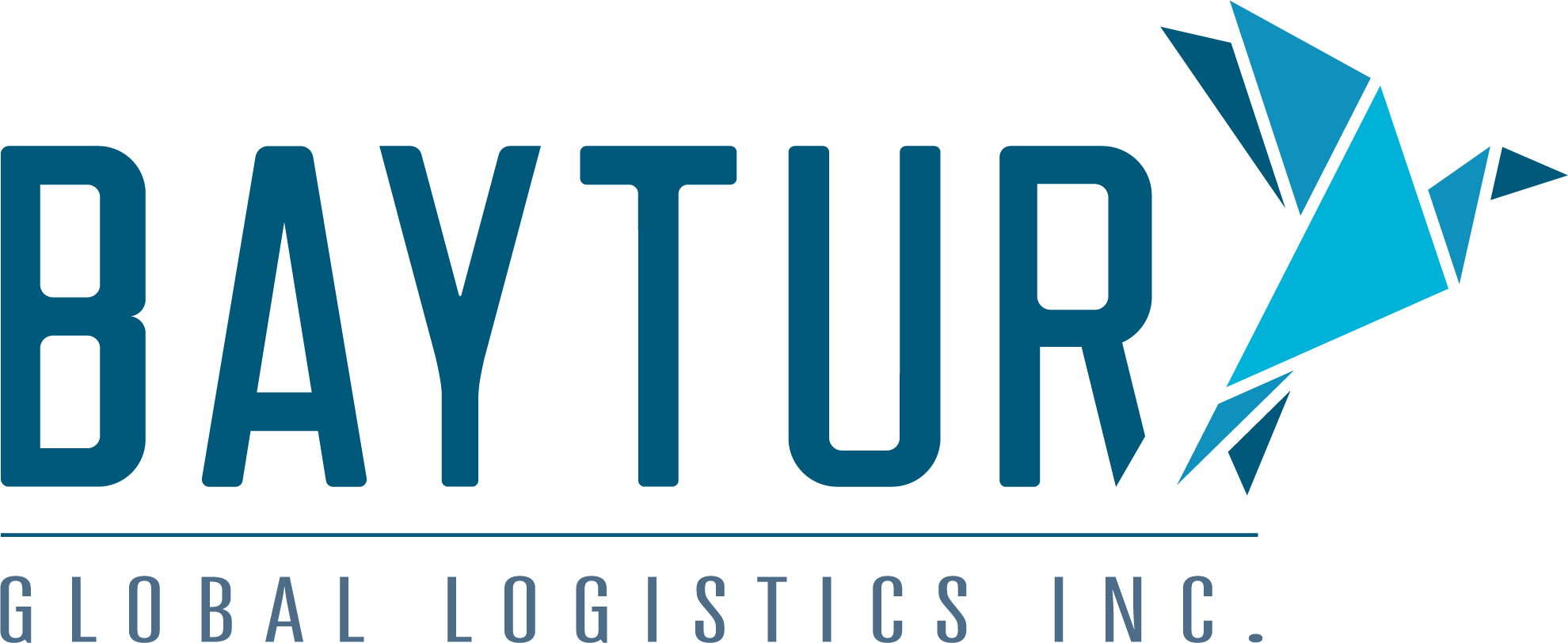Baytur Global Logistics A.S